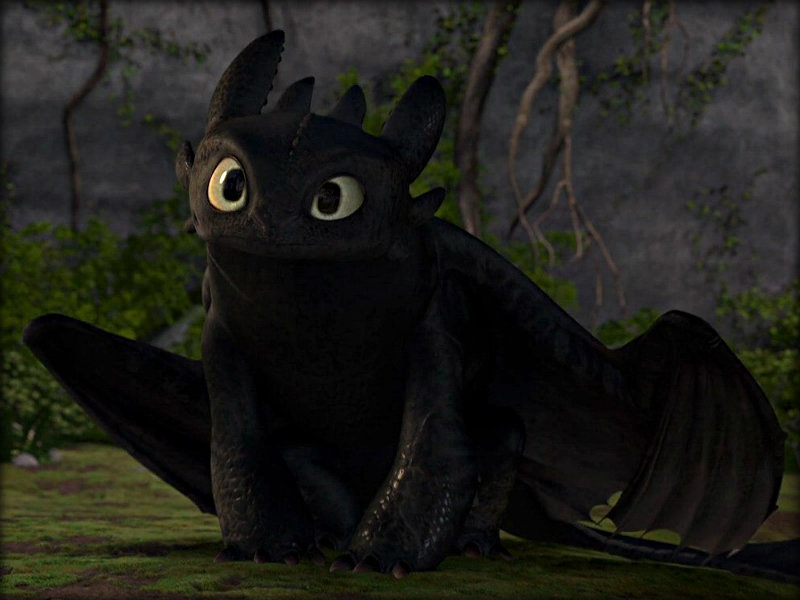 Toothless is best dragon.