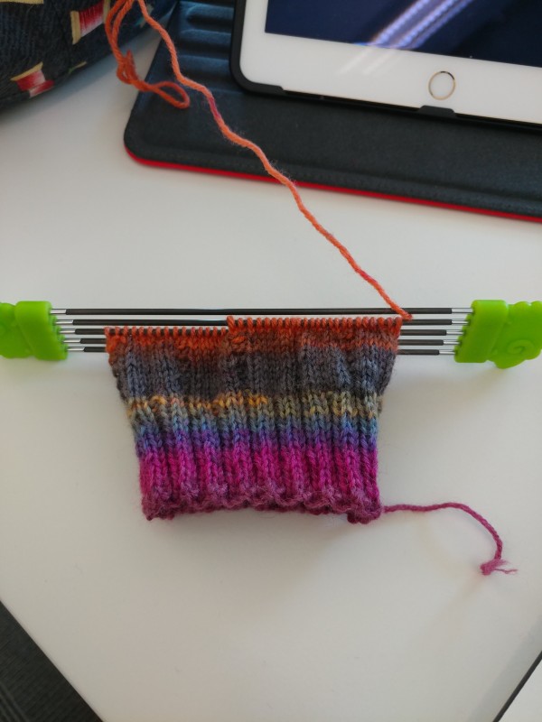 Beginning of a knitted sock, roughly three inches long.