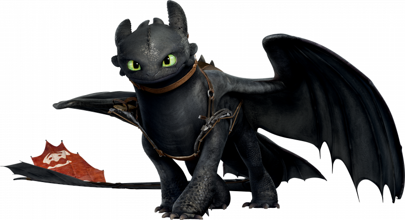 Toothless the Dragon from How To Train Your Dragon, showing his red prostetic tail fins.