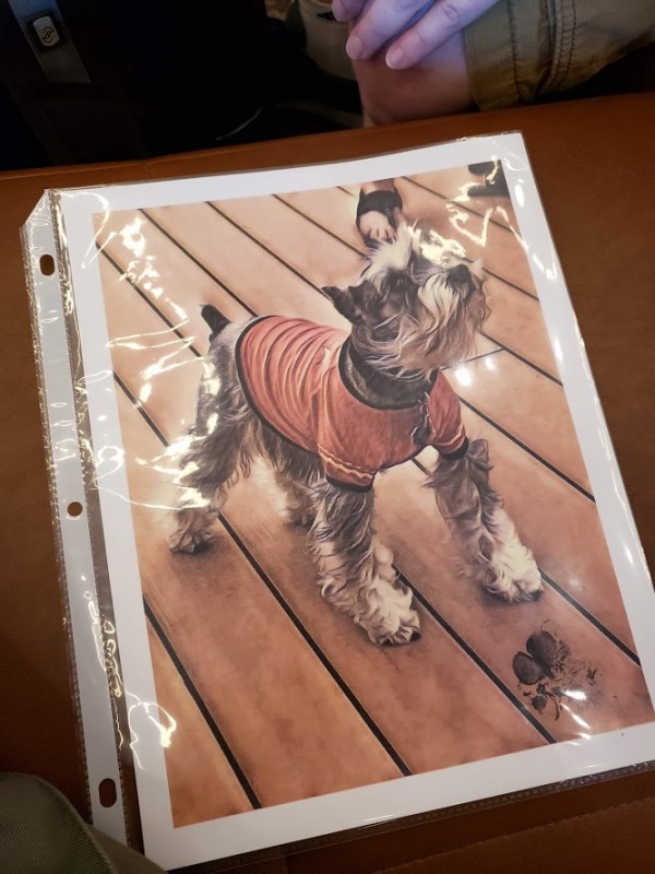 A photo of Gandalf the dog wearing a Starfleet uniform, with a paw print signature at the bottom right corner.