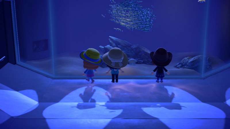 Screenshot of people in Animal Crossing looking at an aquarium full of fish. Visiting the museum in Animal Crossing is something fun to do while staying at home!