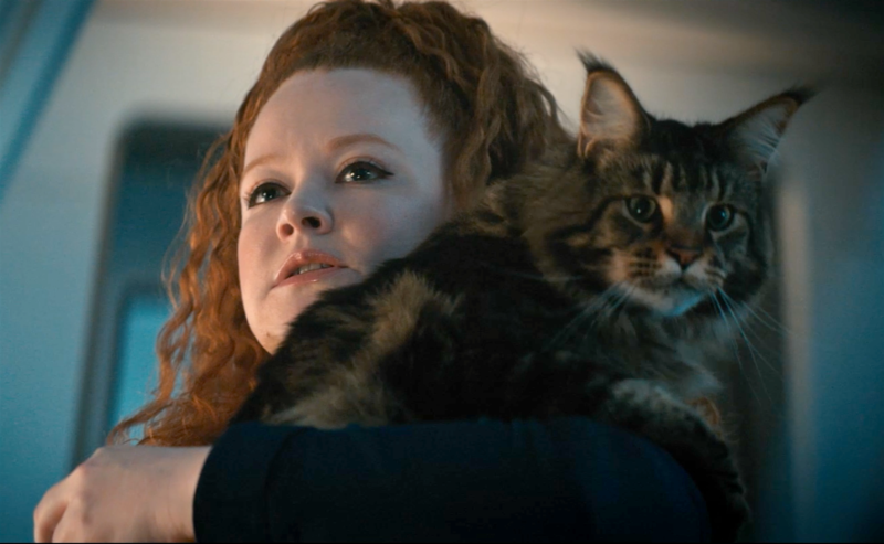 Tilly holding a large brown tabby cat.